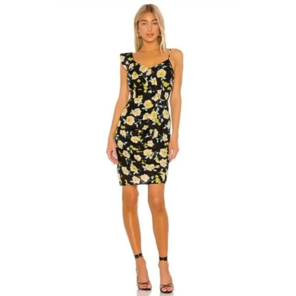 Cupcakes and Cashmere Ariadne Slub Chiffon Asymmetric Dress Ruffle Detail Size 6